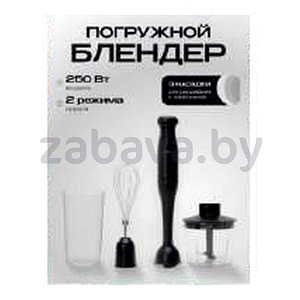 Погружной блендер Ragex R1505, 250 Вт